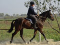 Encelado